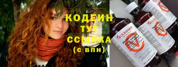 прущие грибы Горнозаводск