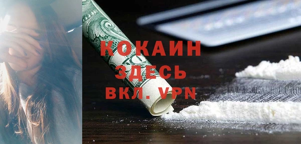 мдпв Ладушкин