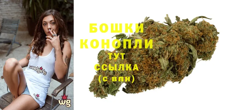 Канабис SATIVA & INDICA  Галич 